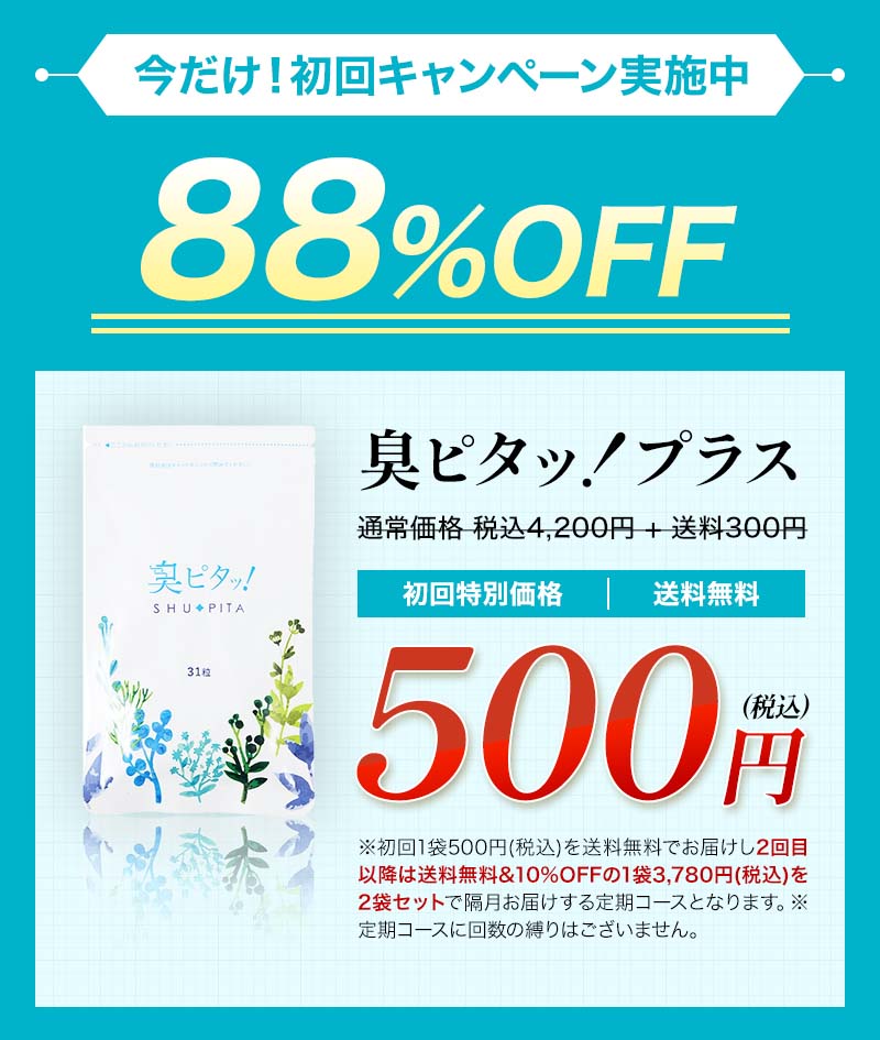 今だけ！初回キャンペーン実施中 88%OFF 500円 送料無料